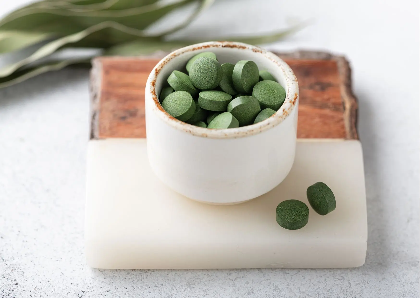 chlorella schwangerschaft - Welche Nebenwirkung hat Chlorella