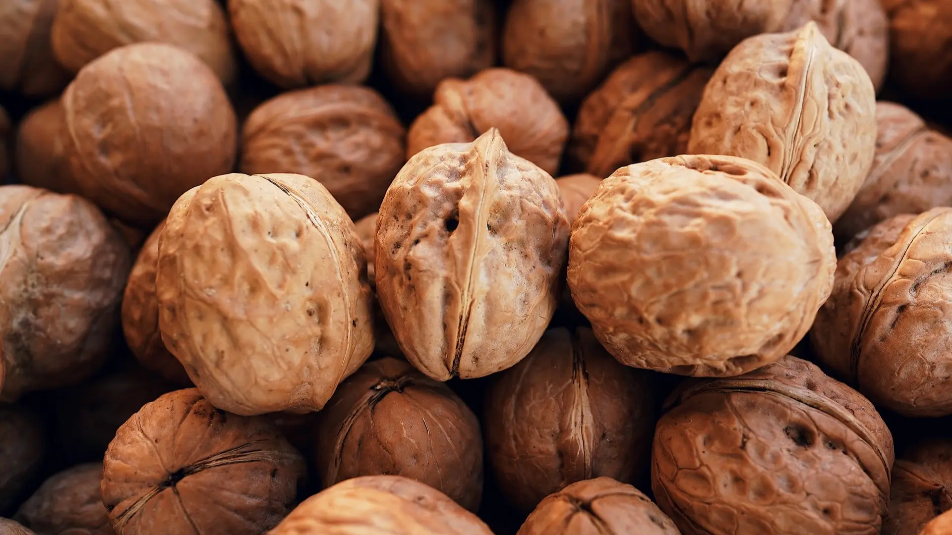 nüsse schwangerschaft - Welche Nüsse darf man nicht zu viel essen