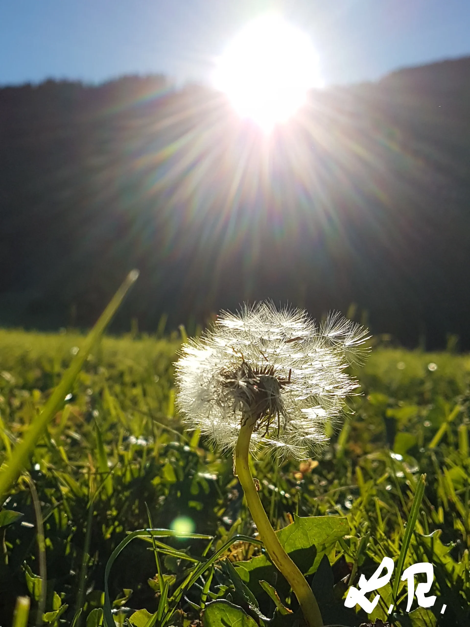 selektiver mutismus hochbegabung - Welche Schwierigkeiten haben Hochbegabte