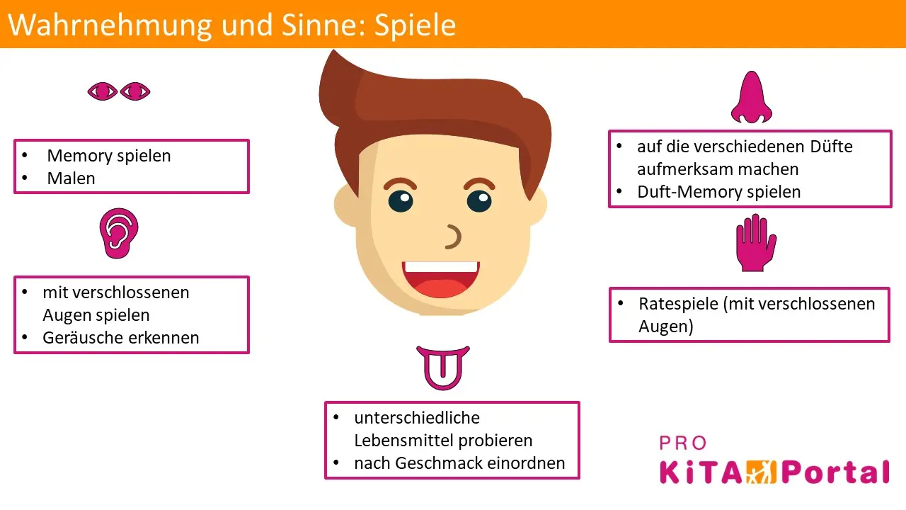 sinne wahrnehmung - Welche Sinne gehören zur Wahrnehmung