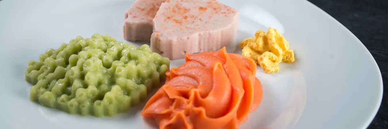 püriertes essen für erwachsene - Welche Speisen lassen sich gut pürieren