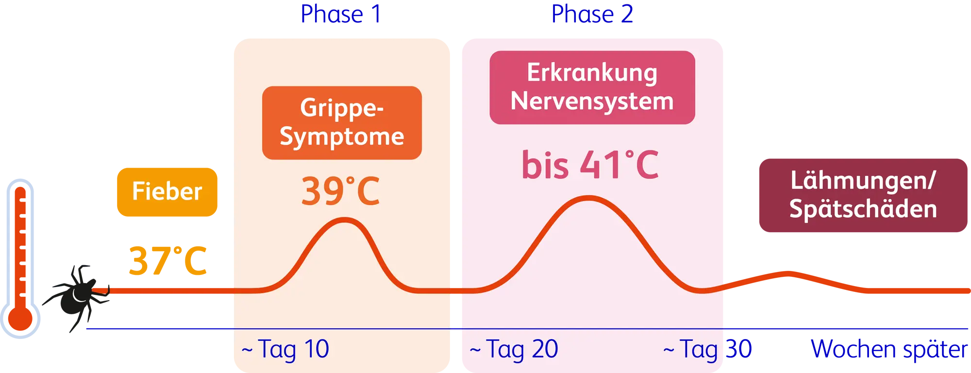 verlauf borreliose - Welche Stadien bei Borreliose