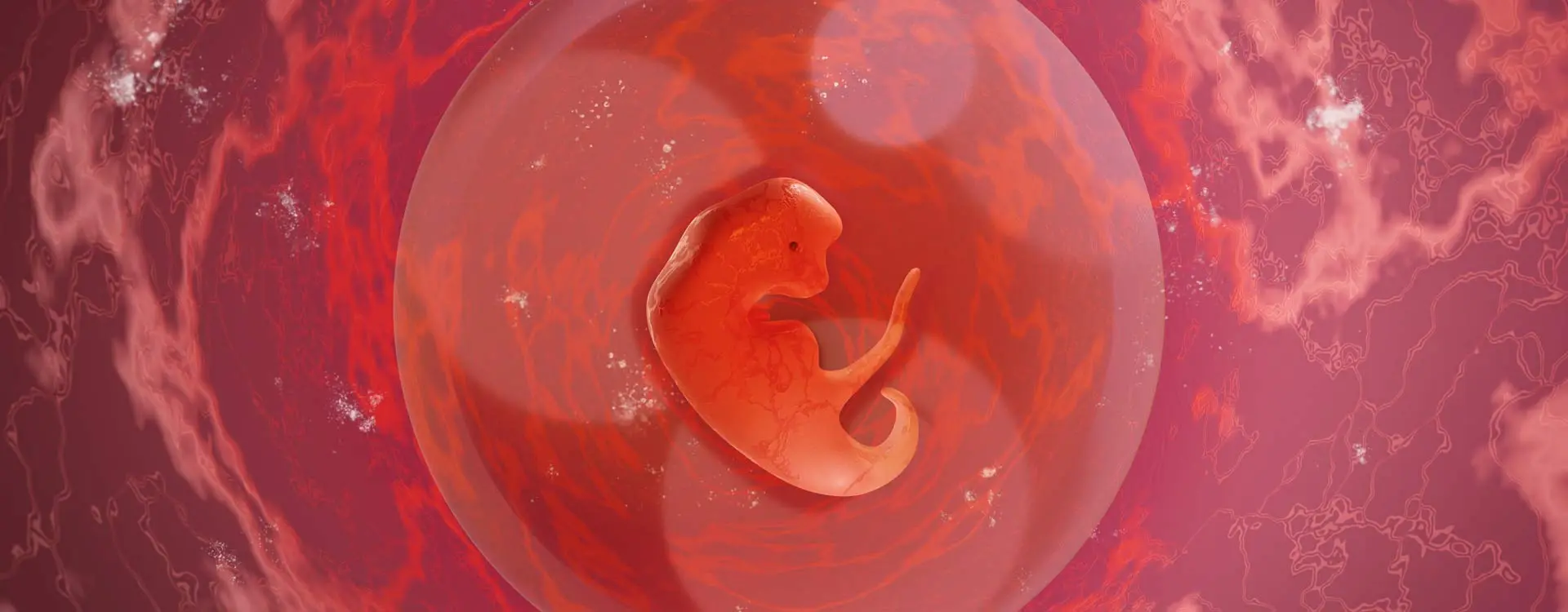 dritte woche schwangerschaft - Welche Symptome hattet ihr in der 3 SSW