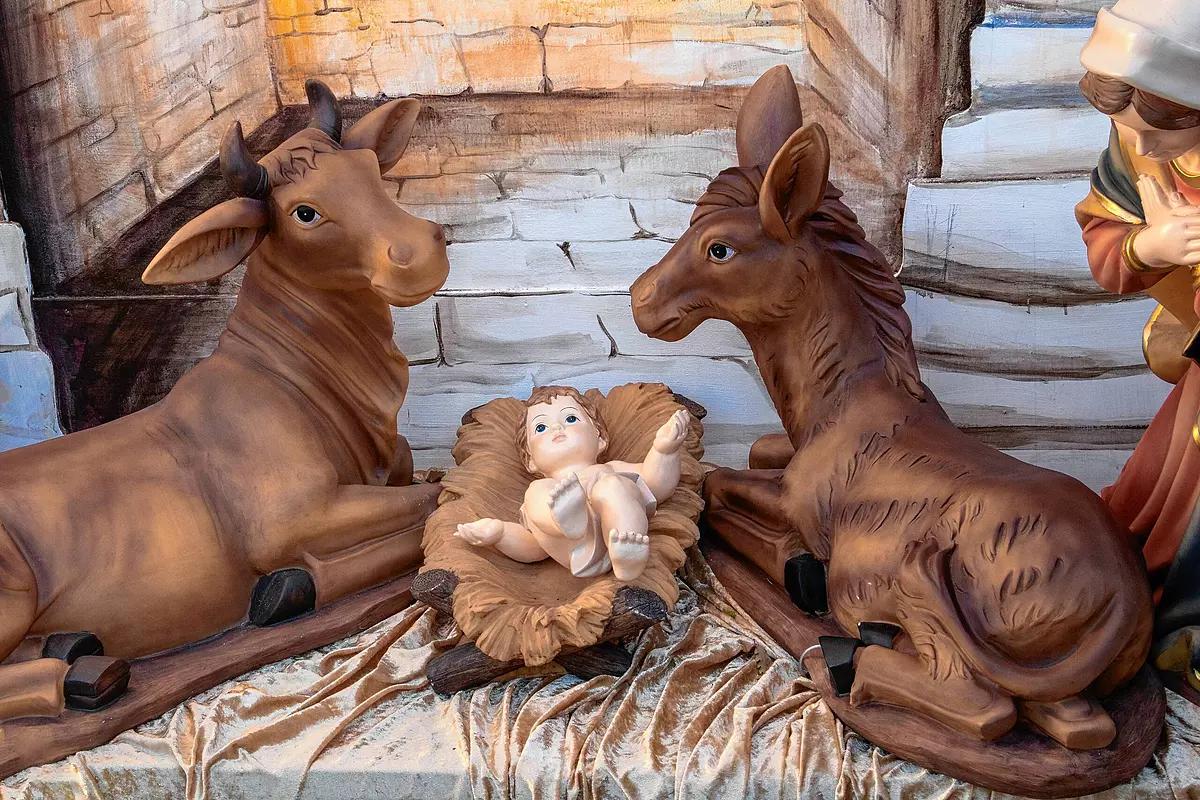 welche tiere waren bei der geburt jesu dabei - Welche Tiere gibt es in Bethlehem