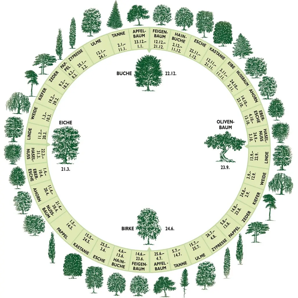 baum zur geburt bedeutung - Welchen Baum nimmt man als Lebensbaum