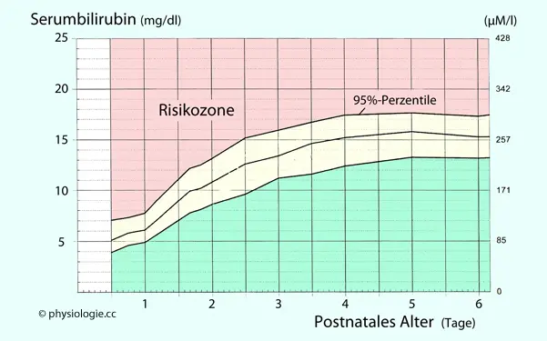 bilirubin nach geburt - Welcher Bilirubin Wert ist gefährlich