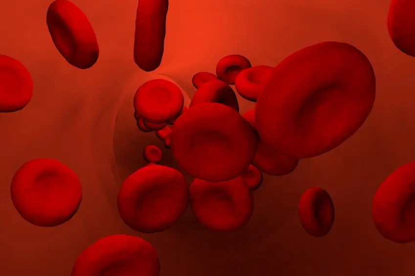 muskelwert blut - Welcher CPK Wert ist gefährlich