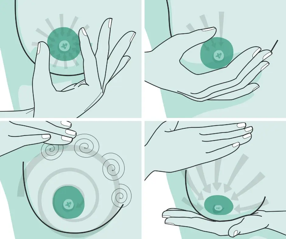 milchstau hausmittel - Welcher Tee hilft bei Milchstau