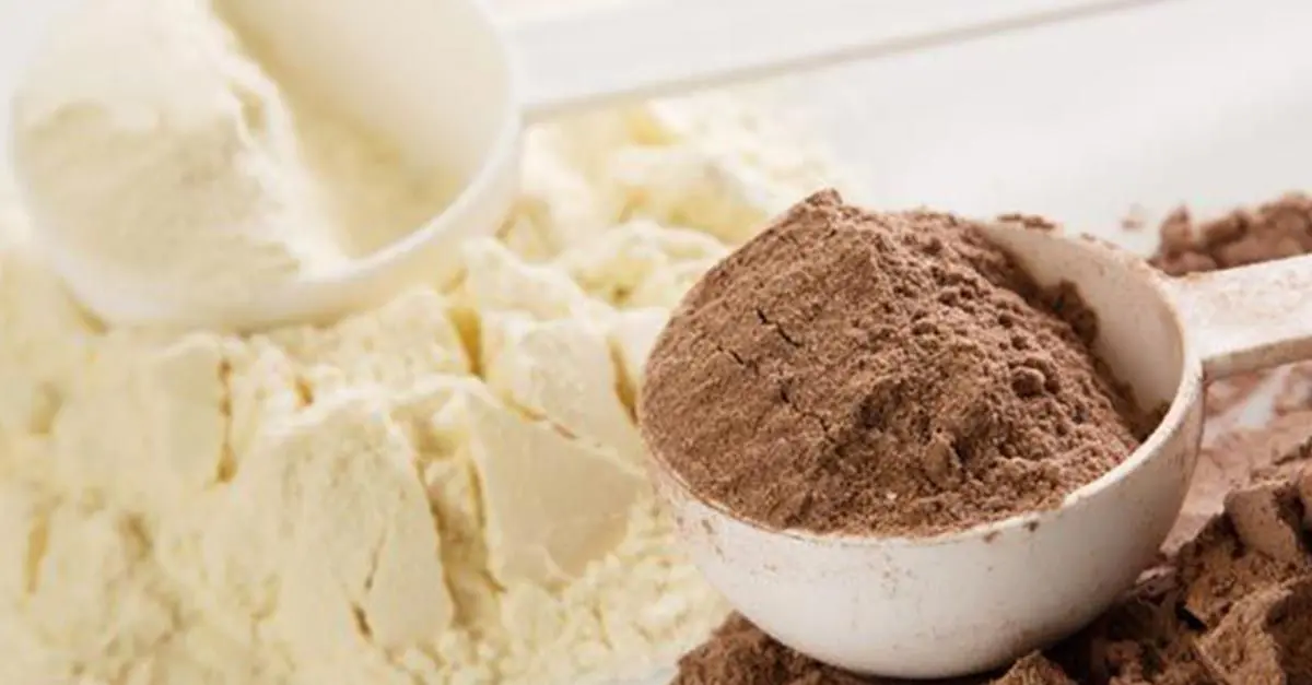 all stars protein - Welches Protein ist der beste