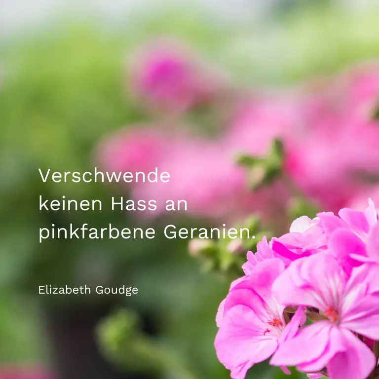 blumen gedichte kurz - Wer Blumen pflanzt glaubt an die Zukunft