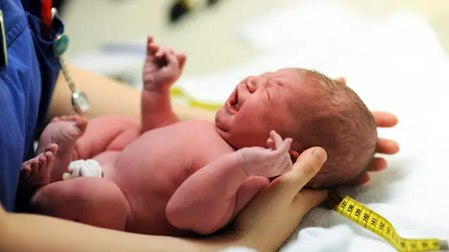 hebamme rezept ausstellen - Wer darf ein Rezept ausstellen