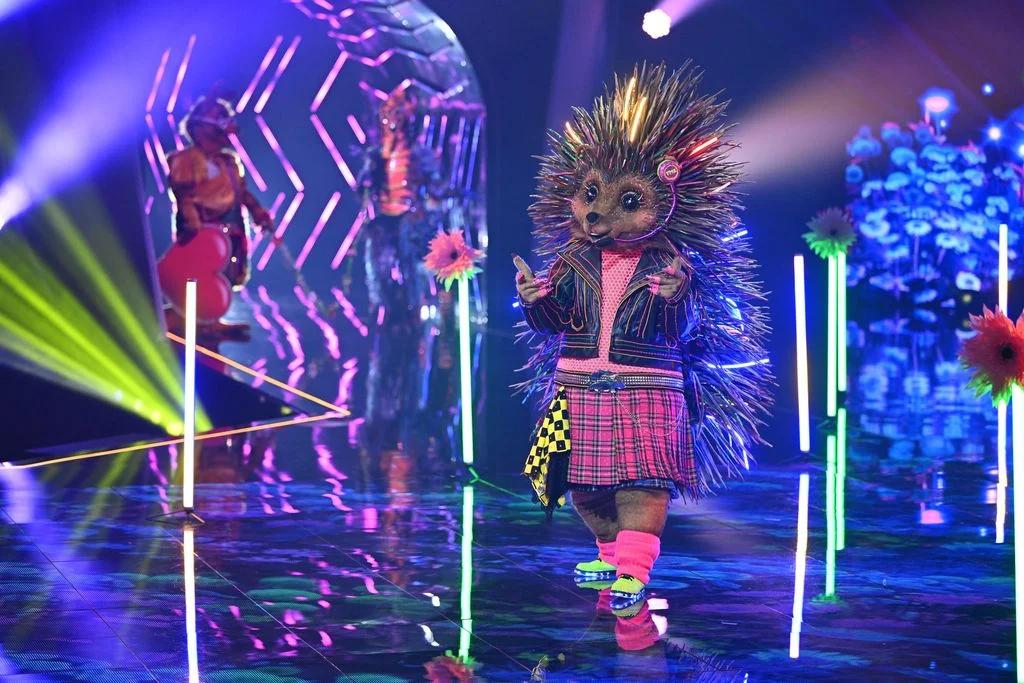 monsterchen masked singer - Wer ist Igel bei Masked Singer