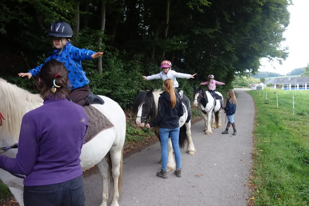 reittherapie krankenkasse - Wer zahlt Reittherapie