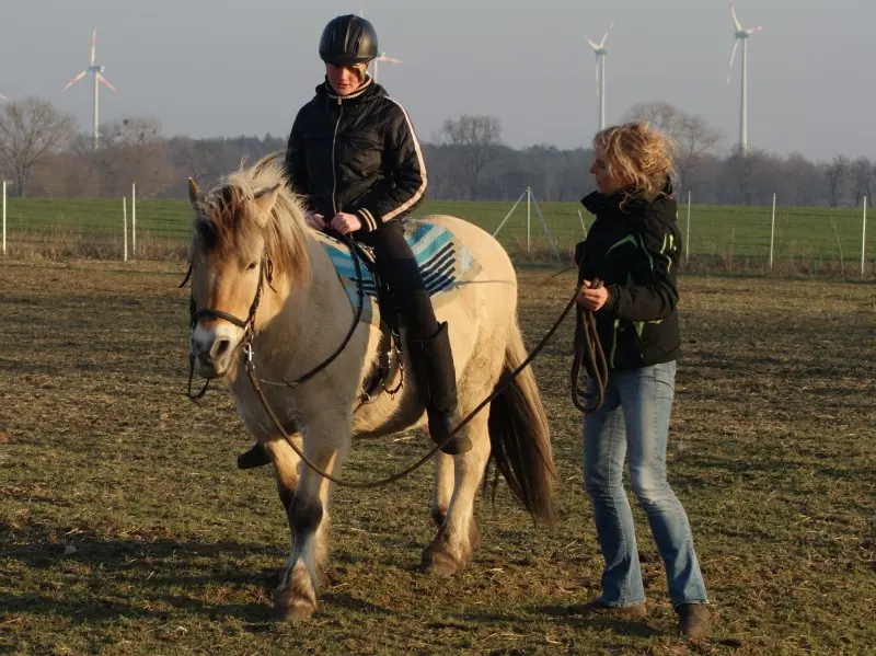 kosten reittherapie - Wie bekommt man eine Reittherapie