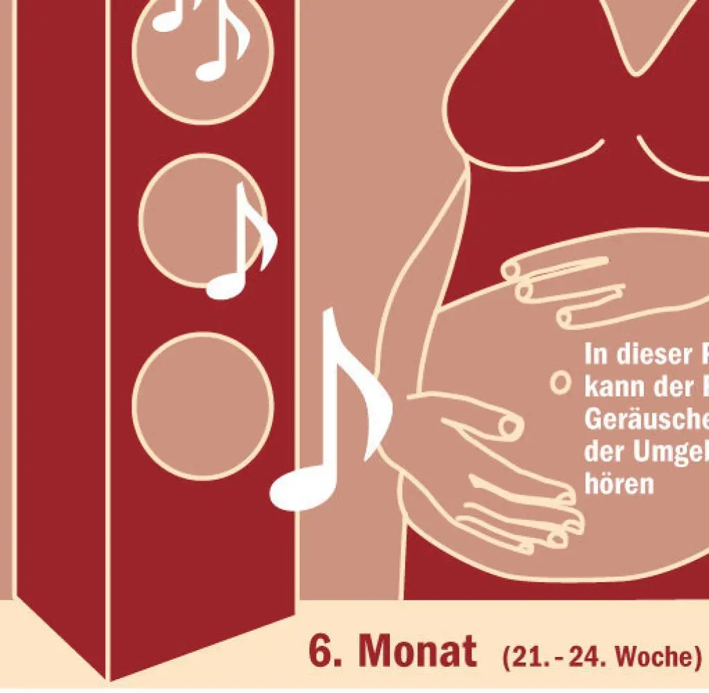 sinneswahrnehmung im mutterleib und nach der geburt - Wie entwickeln sich die Sinne intrauterin