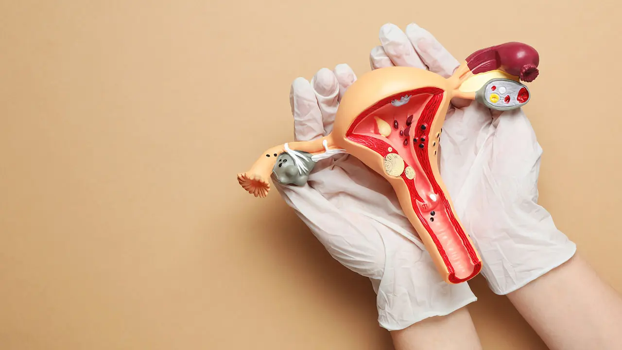 verdickung gebärmutterwand - Wie erkennt man eine Gebärmutterschleimhautkrebs