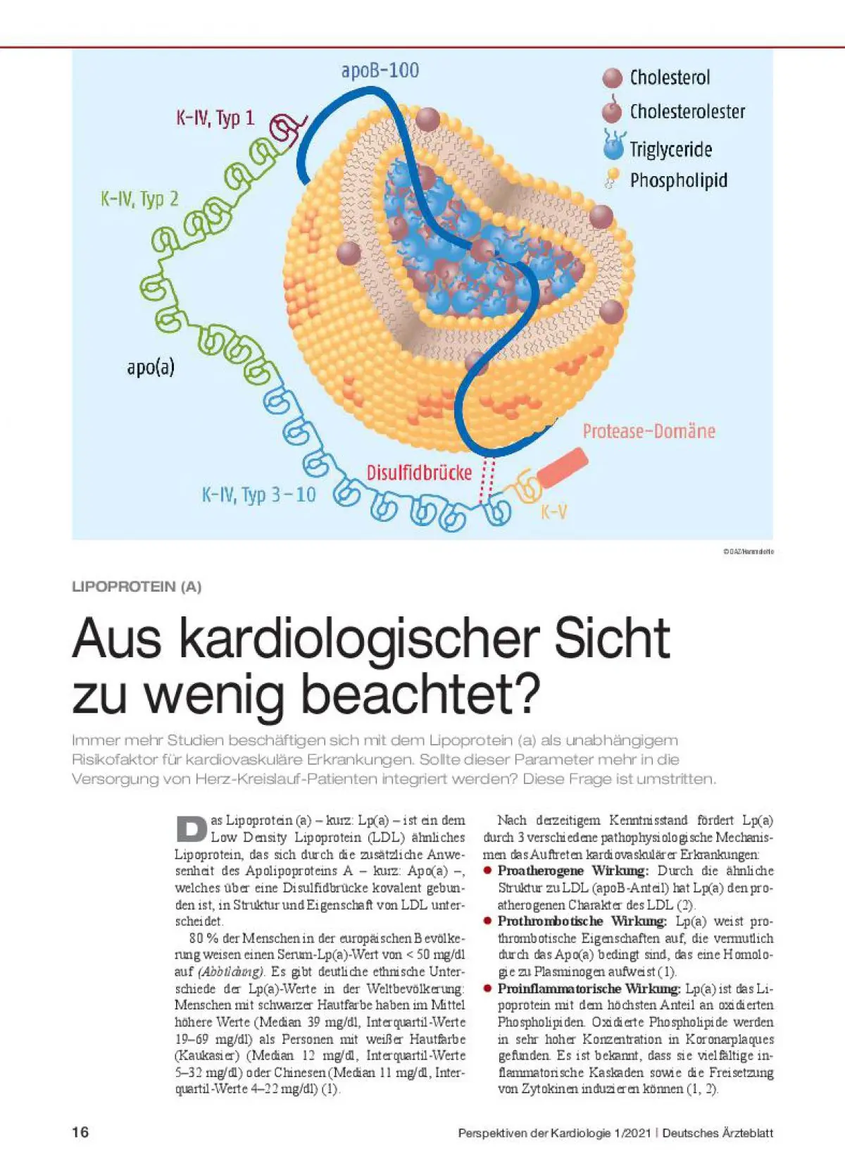 lipoprotein a schwangerschaft - Wie gefährlich ist ein hoher Lipoprotein a wert
