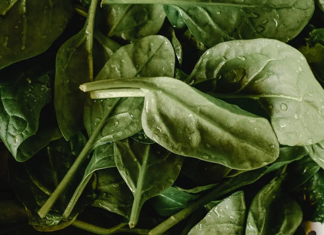 rahmspinat schwangerschaft - Wie gesund ist gefrorener Rahmspinat