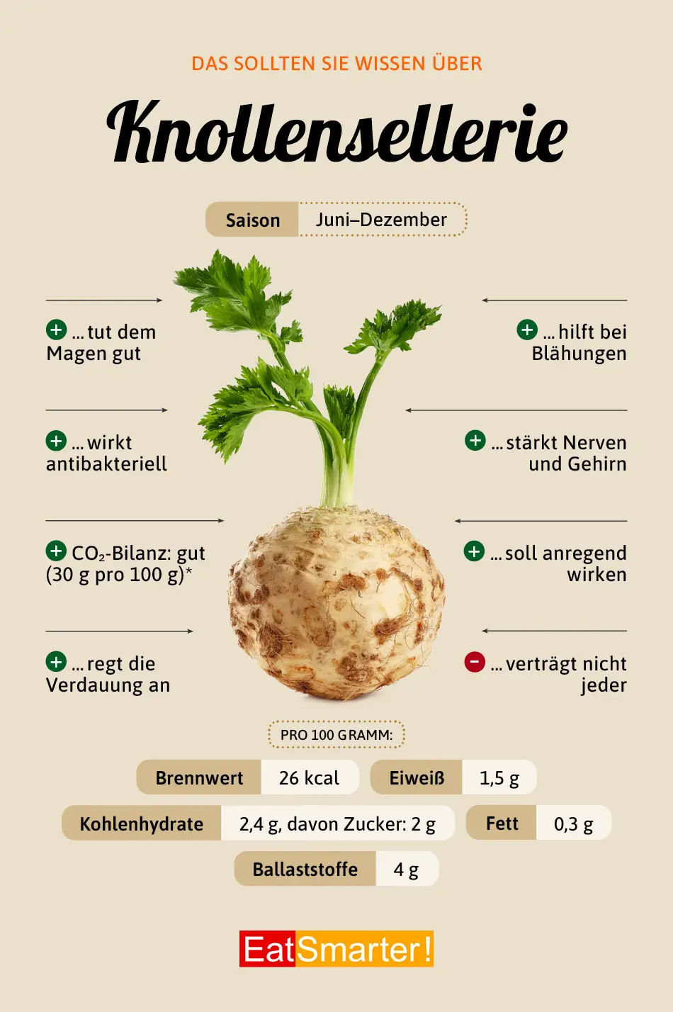 Staude Sellerie in der Schwangerschaft: Was Sie wissen müssen - Wie gesund ist Staudensellerie roh staudensellerie schwangerschaft - Wie gesund ist Staudensellerie roh
