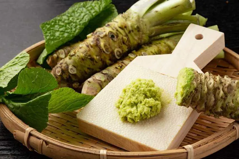 wasabi schwangerschaft - Wie gesund ist Wasabi
