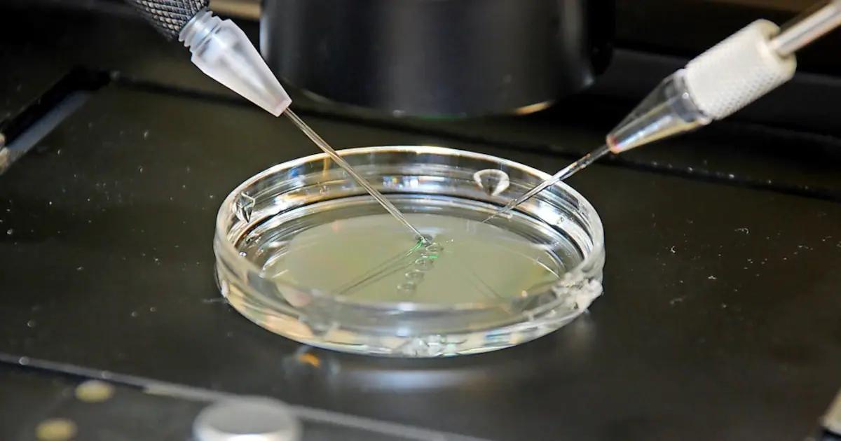 ivf geburt - Wie gesund sind IVF Babys