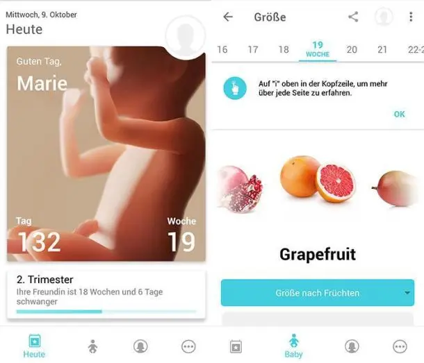 schwangerschaft app größe baby - Wie groß ist mein Baby App