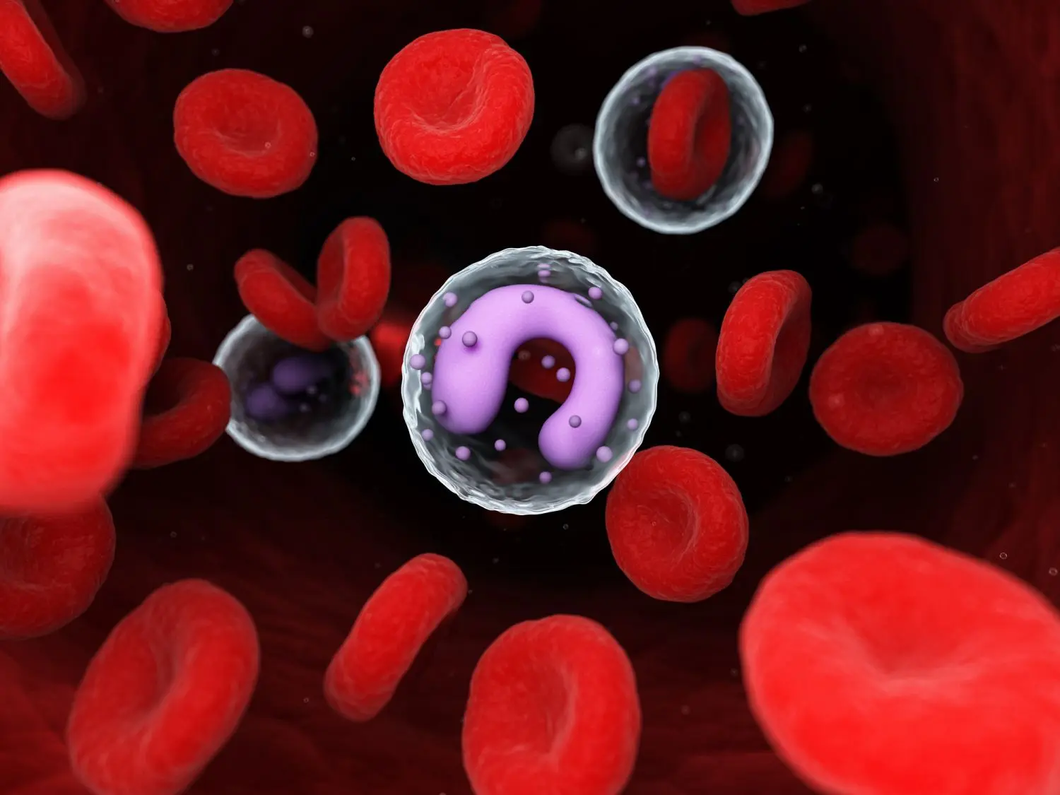 Welcher Monozyten-Wert ist normal? - Wie hoch darf der Monozyten wert sein welcher monozyten-wert ist normal - Wie hoch darf der Monozyten wert sein