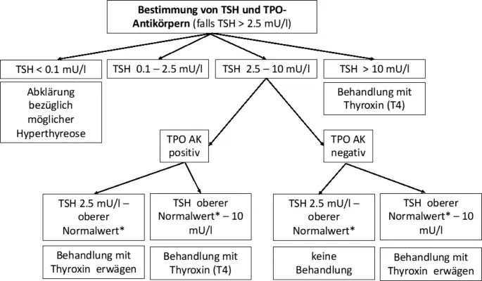 tsh-wert schwangerschaft hashimoto - Wie hoch darf der TSH bei Hashimoto sein