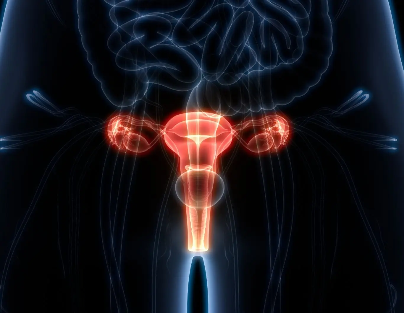 nur ein eierstock von geburt an - Wie hoch ist die Wahrscheinlichkeit mit nur einem Eileiter schwanger zu werden