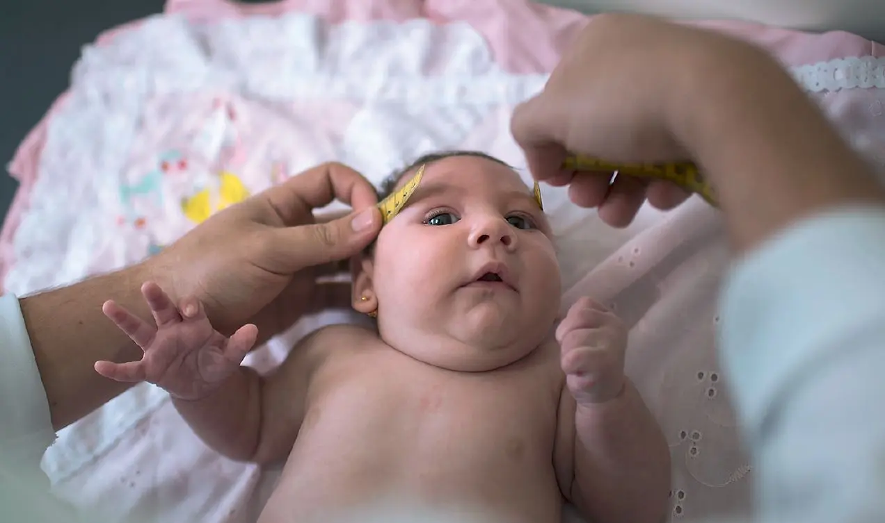 zika virus schwangerschaft wann gefährlich - Wie hoch ist die Wahrscheinlichkeit Zika-Virus in Thailand zu bekommen