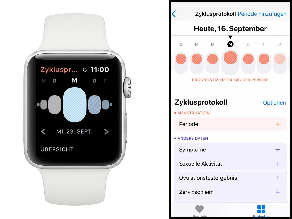 apple health schwangerschaft eintragen - Wie kann ich die App Health einstellen