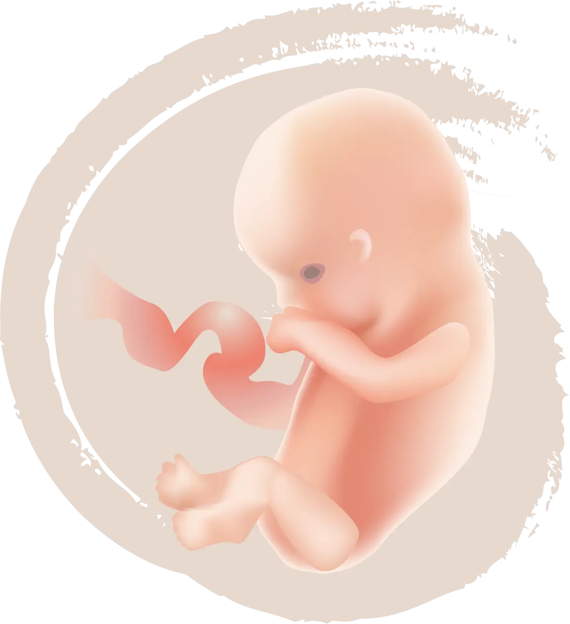 cytomegalie schwangerschaft vorbeugung - Wie kann ich mich vor zytomegalie schützen