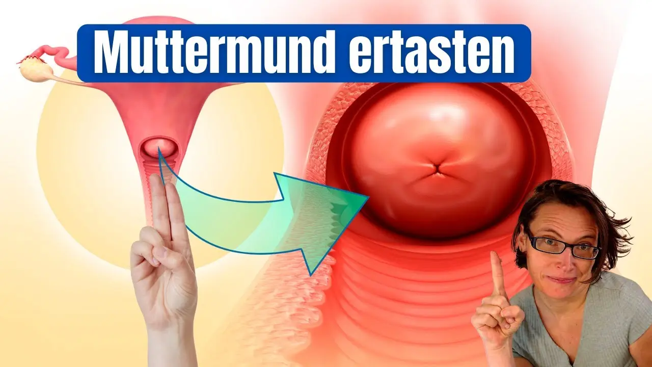 schwangerschaft ertasten - Wie kann man Abtasten ob man schwanger ist