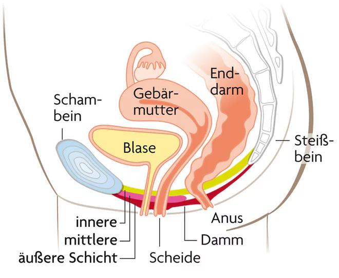 blasentraining nach geburt - Wie kann man den Blasenschließmuskel trainieren