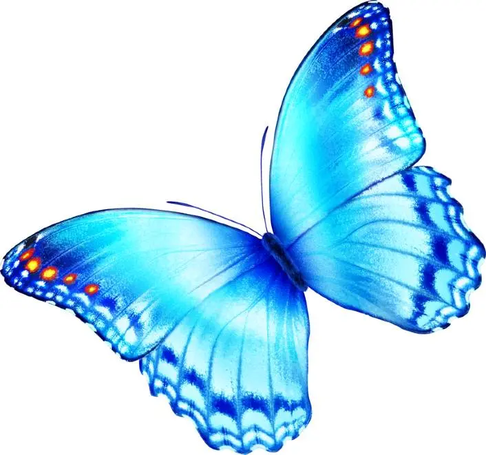 nabelschnur aufbewahren - Wie kann man die Nabelschnur zu Hause aufbewahren