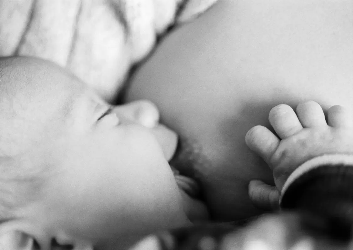 antikörper muttermilch - Wie kommen Antikörper in die Muttermilch