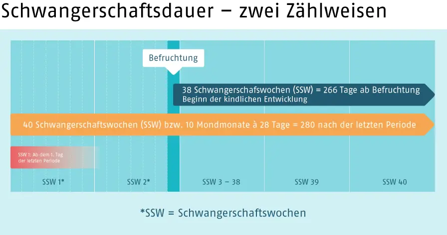 wie lange geht eine schwangerschaft - Wie lang sind 40 Wochen