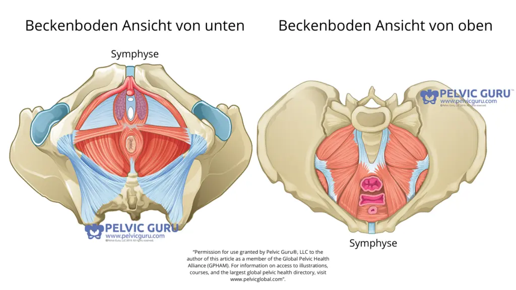 beckenboden nach geburt - Wie lange braucht der Beckenboden nach der Geburt