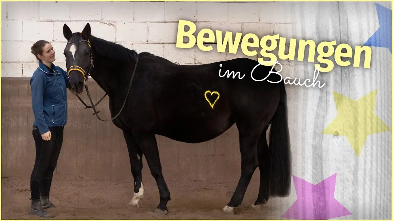 geburt fohlen im bauch der stute - Wie lange braucht ein Fohlen im Bauch