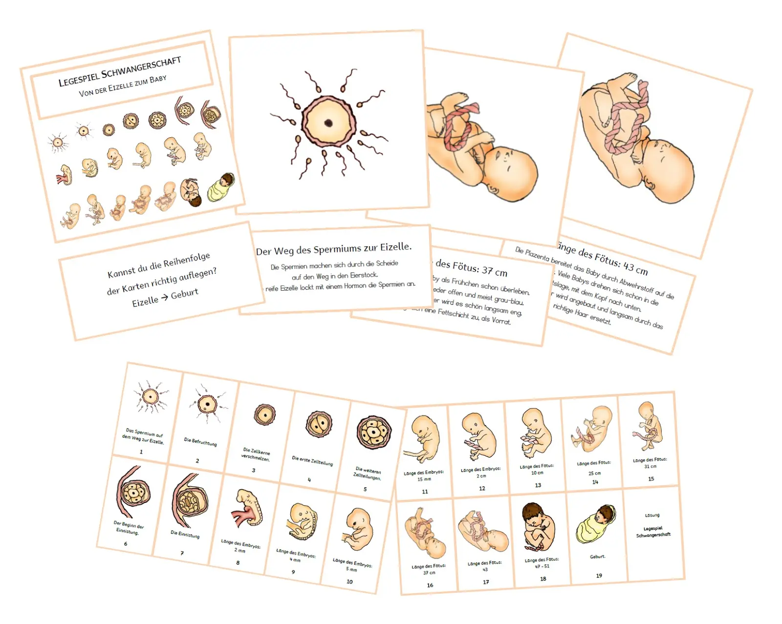 schwangerschaft grundschule - Wie lange darf man in die Schule wenn man schwanger ist