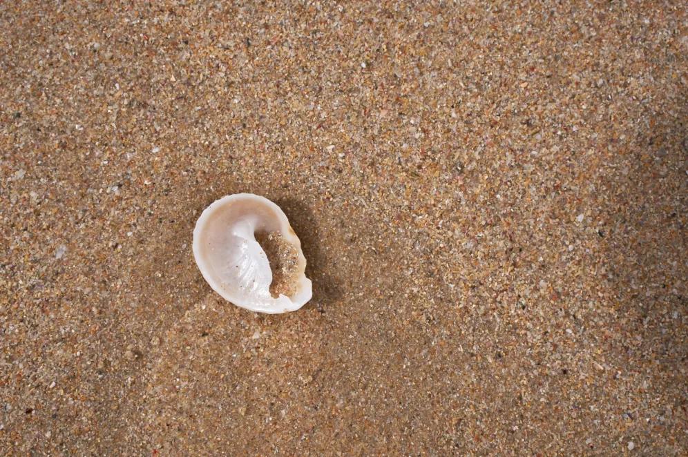 kleine geburt erfahrungen - Wie lange dauert eine kleine Geburt