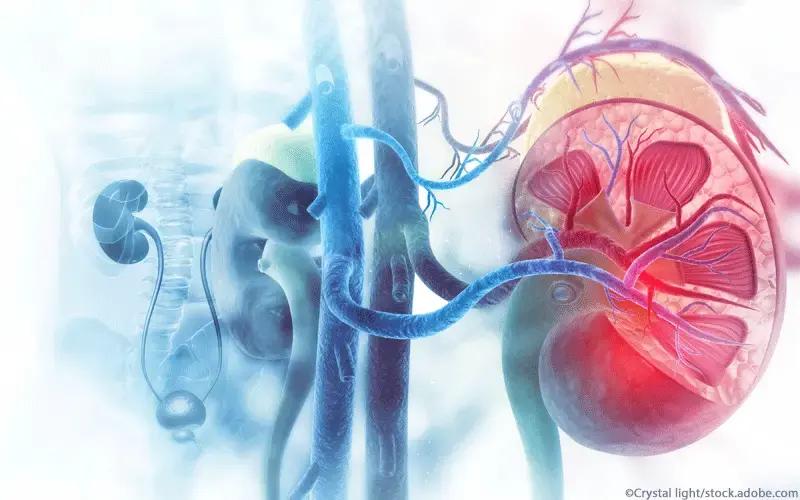 nierenstau schwangerschaft wann ins krankenhaus - Wie lange dauert eine Nierenstau