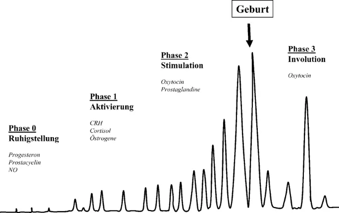 prostaglandine geburt - Wie lange dauert Einleitung mit Prostaglandin