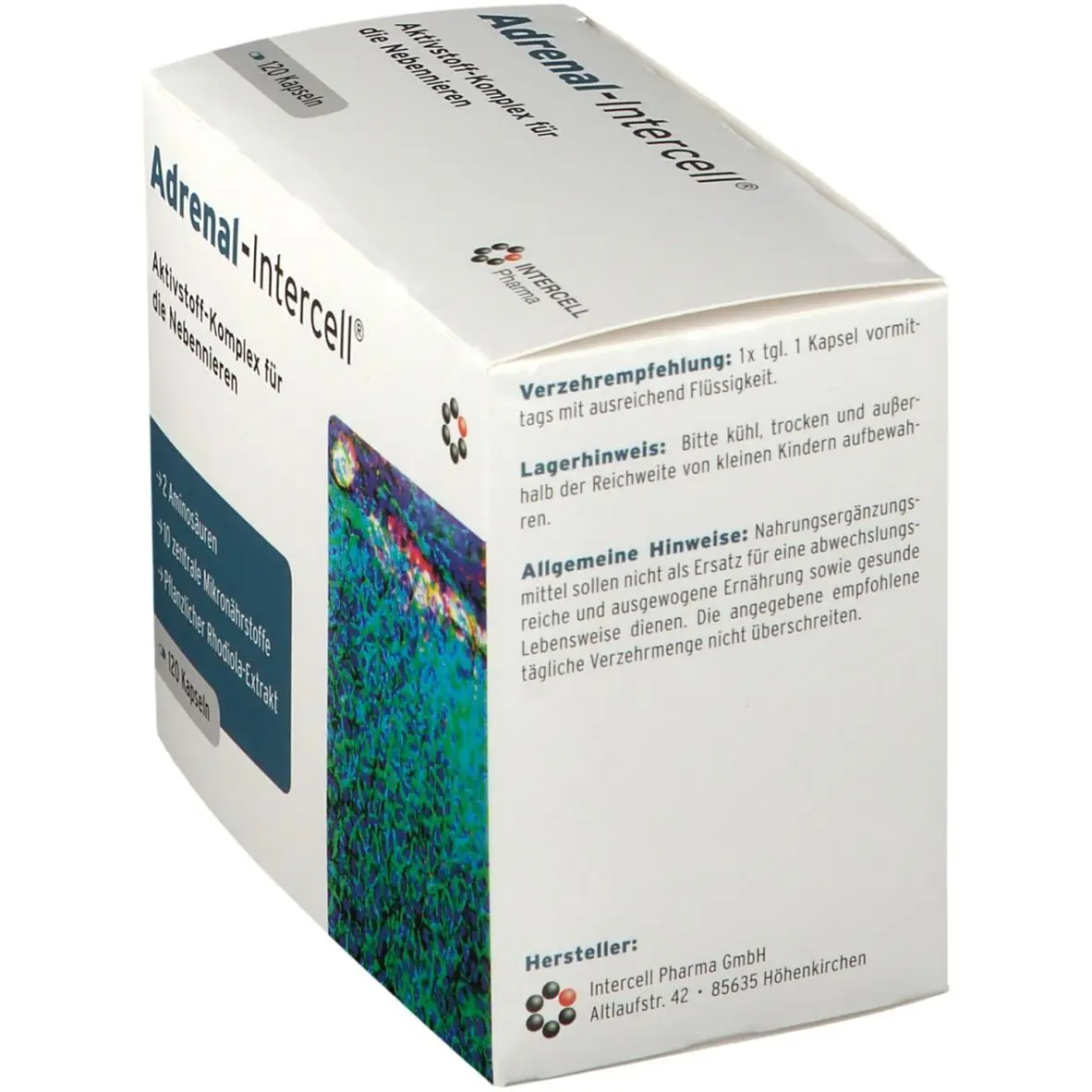 adrenal intercell schwangerschaft - Wie lange kann man Adrenal-Intercell einnehmen
