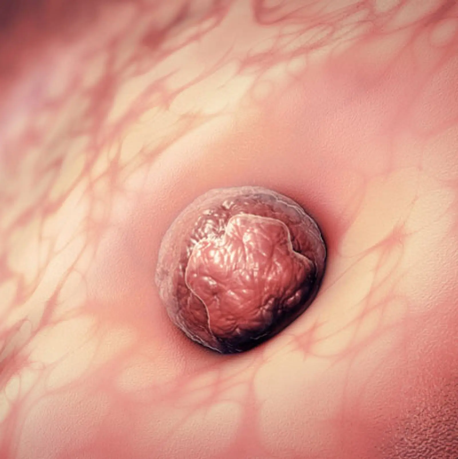 abgegangene schwangerschaft - Wie lange kann man einen Abgang nachweisen