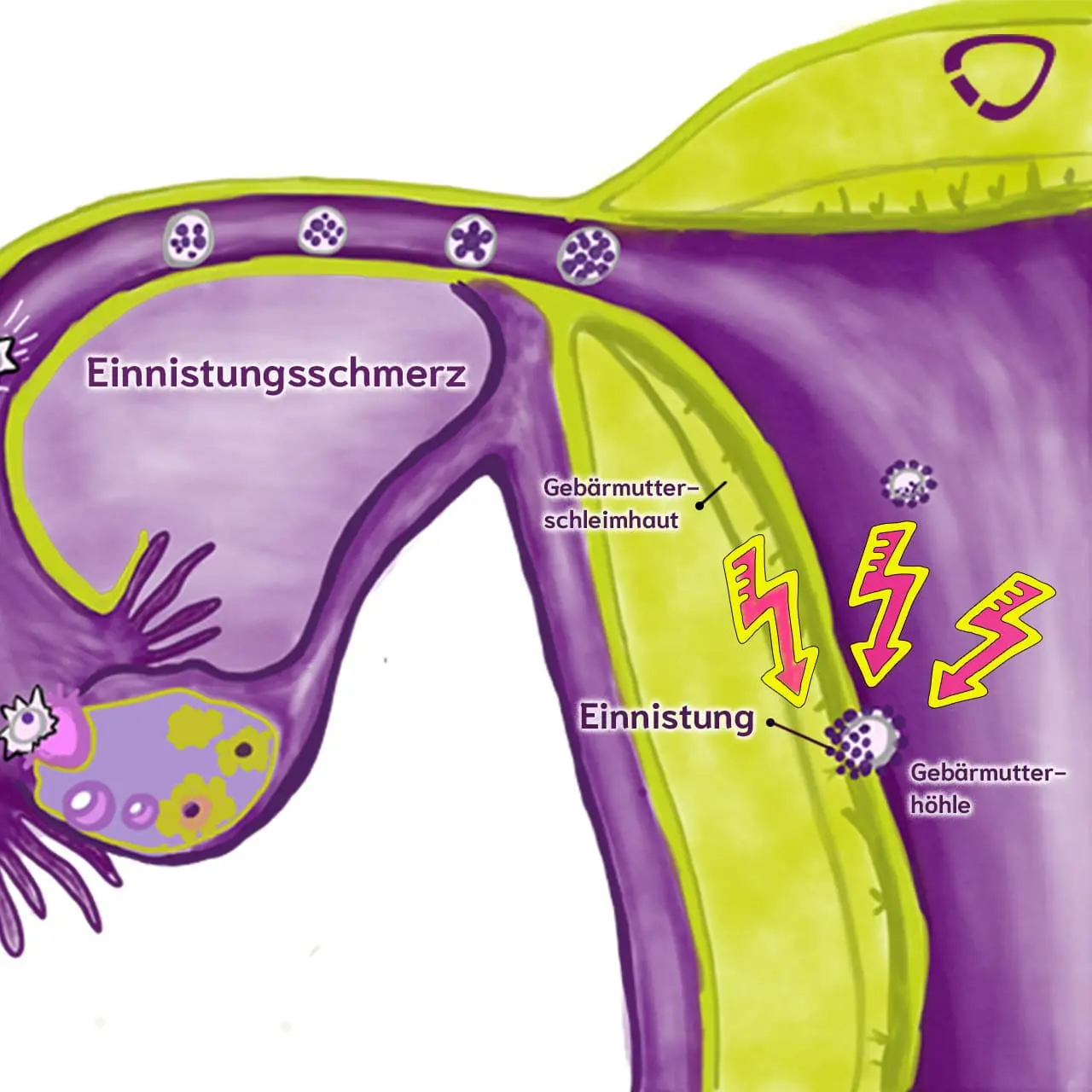 schmerzen im unterleib nach frauenarztbesuch - Wie lange Schmerzen nach Abstrich