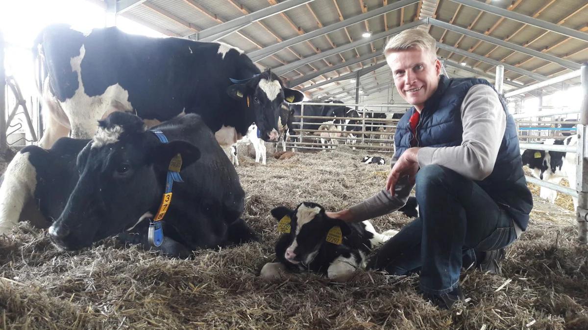 wann steht ein kalb nach der geburt auf - Wie lange trauert eine Kuh um ihr Kalb