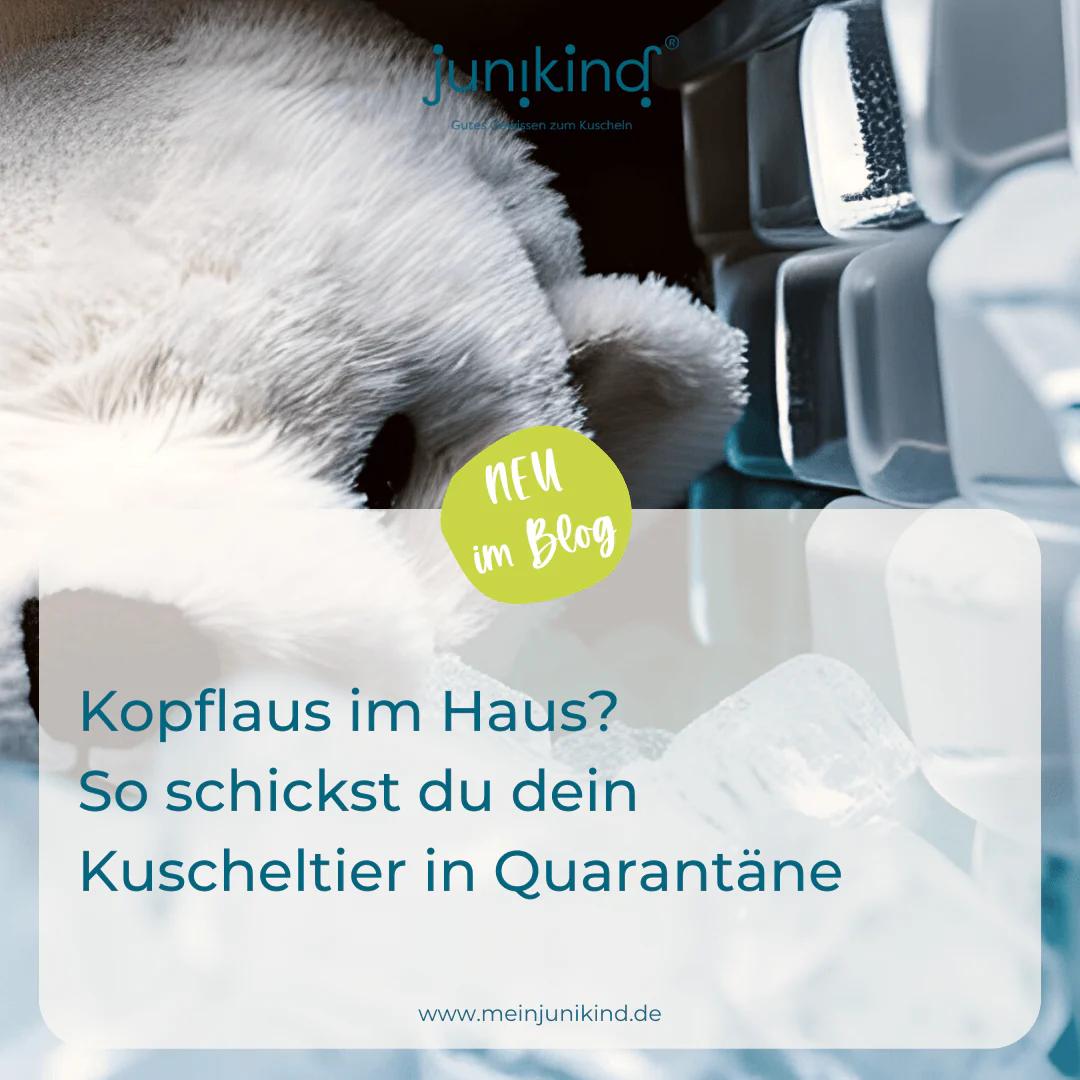 kuscheltiere läuse frei machen - Wie lange überleben Läuse im Plastiksack