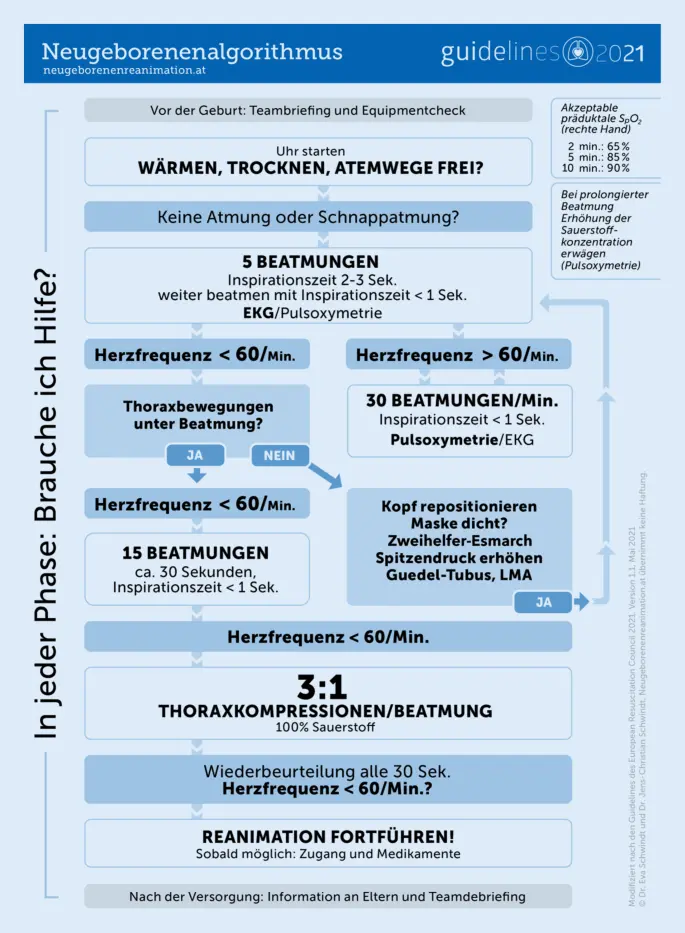 Reanimation nach Geburt: Überleben und Langzeitfolgen - Wie lange überlebt man nach Reanimation reanimation nach geburt - Wie lange überlebt man nach Reanimation