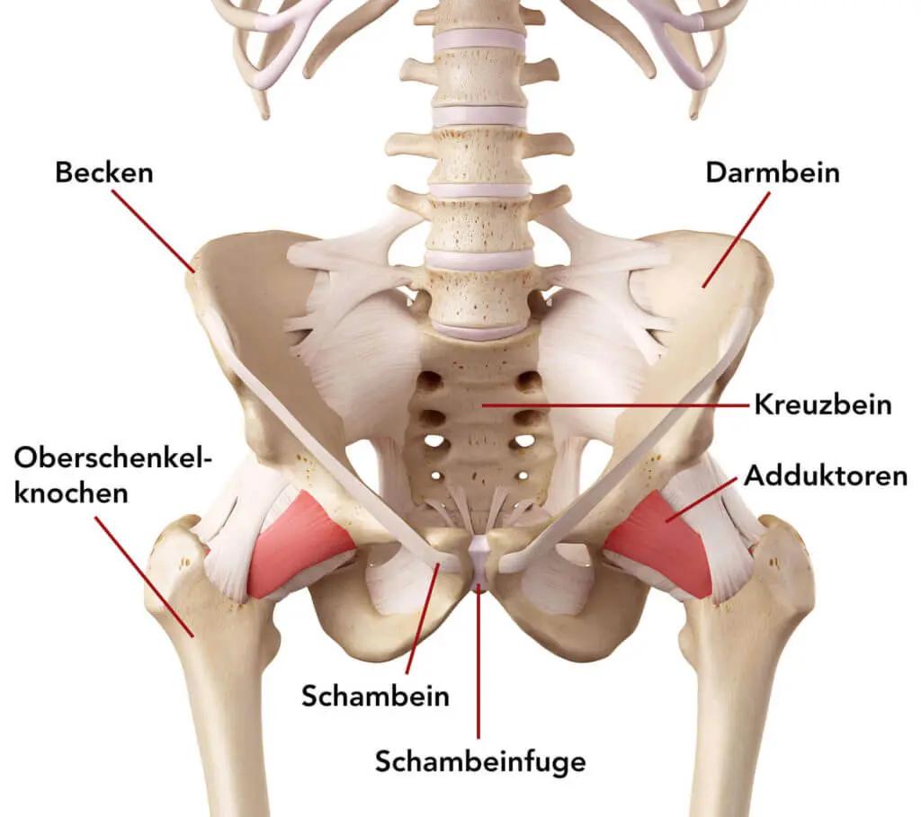 schambeinentzündung nach geburt - Wie macht sich eine Schambeinentzündung bemerkbar